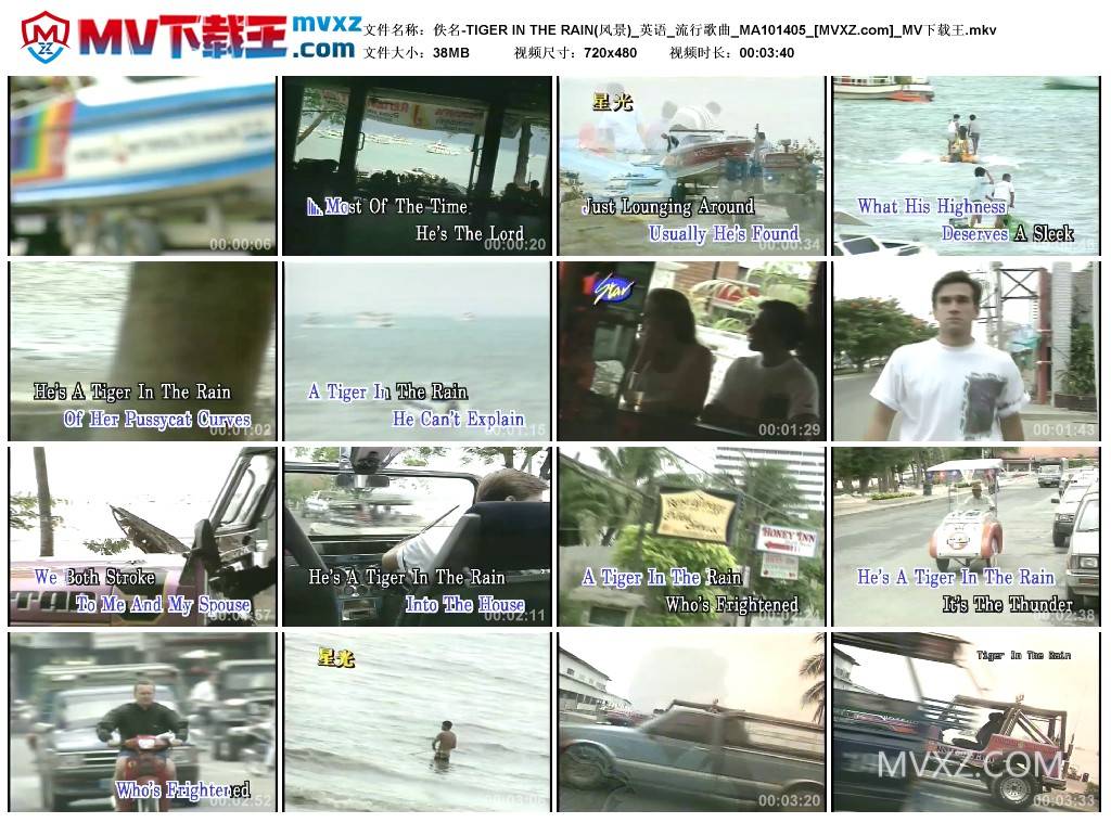 佚名-TIGER IN THE RAIN(风景)_英语_流行歌曲_MA101405